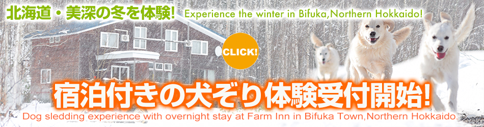 犬そり体験の詳細はこちら
