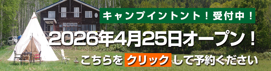 犬そり体験の詳細はこちら